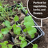 36 mm 200 Count Jiffy Peat Soil Pellets Seed Starter Plugs - for Indoor Planting, Seedlings - - Peat