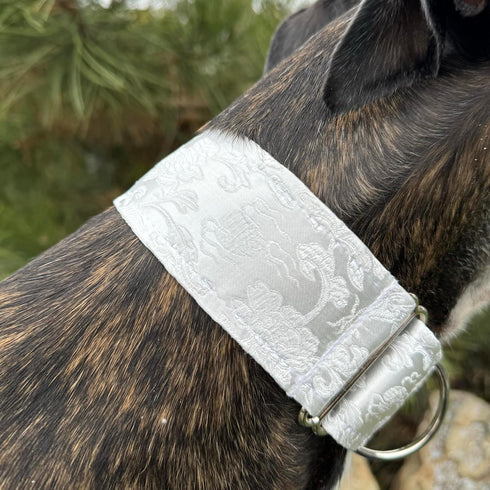 Extra Soft Martingale Dog Collar and Leash Set for Greyhound Saluki Whippet and Similar Breeds, 2'' Wide (M 11''-14'')