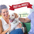 Nature's Miracle Freshening Spray for Dogs, Freshens Coat Between Baths, Neutralizes Odors, Sunkissed Breeze, 8 Ounces