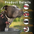 Dog Collar for Boys Girls, Floral Puppy Collar for Small Medium Large Dogs, Adjustable Soft Floral Pattern Pet Collar with Safety Buckle for Male Females(Red Floral,S)