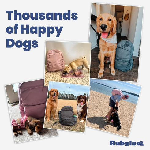 Backpack 2 Dog Travel Bag for Supplies - Complete Dog Diaper Bag with BPA-Free Travel Bowls, Treat Pouch, Food