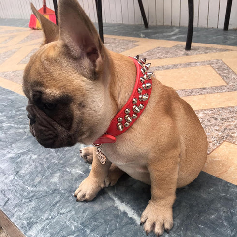 TEEMERRYCA Adjustable Microfiber Leather Spiked Studded Dog Collars - Gift Squeak Ball for Pets (Red, XL)