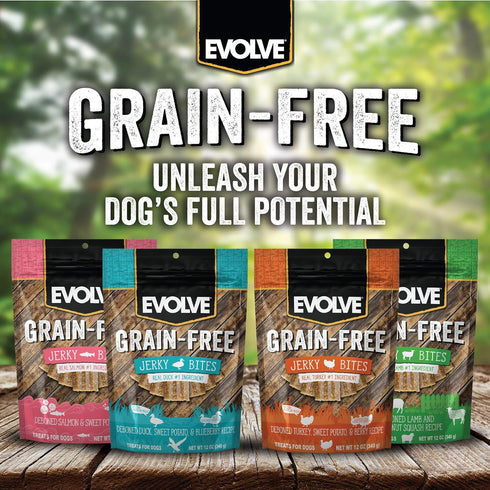 Evolve Grain Free Dog Treats, Turkey, Pea, and Berry Jerky Bites