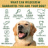 Wildeers Elk Antlers for Dogs - Medium, 3-Pack, Naturally Shed, Grade A, 5-7 inch, Long Lasting Chews for Aggressive