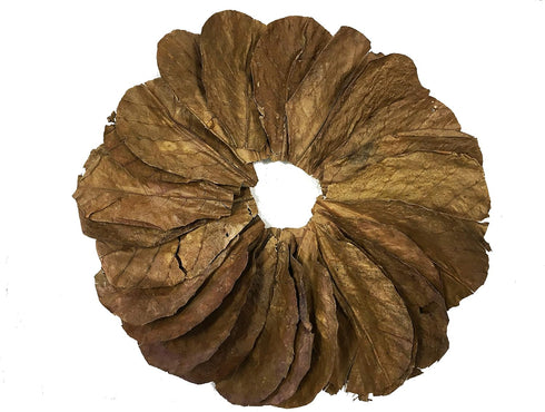 Awesome Aquatic Betta & Shrimp Leaves, 50 Premium Catappa Indian Almond Leaves, Natural Habitat Tannin