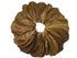 Awesome Aquatic Betta & Shrimp Leaves, 50 Premium Catappa Indian Almond Leaves, Natural Habitat Tannin