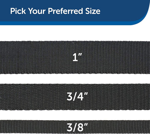 PetSafe Nylon Dog Leash, Strong and Durable Traditional Style with Easy to Use Bolt Snap, 1 in. x 4 ft., Black