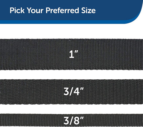 PetSafe Nylon Dog Leash, Black 3/8 in. x 6 ft. - Strong, Durable, Traditional Style with Easy to Use Bolt Snap