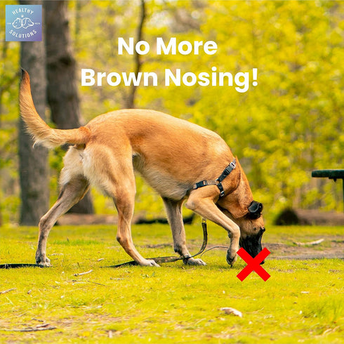 Deterrent for Dogs Eating Poop, Coprophagia No Poo Chews, 60ct, Enhanced with Breath Freshener