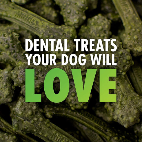 VetIQ Minties Dog Dental Bone Treats - Dental Chews for Tiny/Small Dogs under 40 lbs, 80 Treats