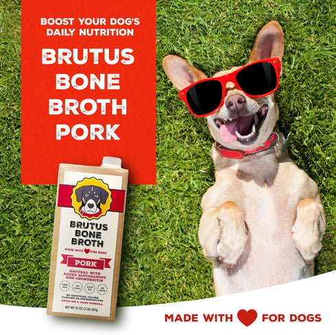 Brutus Bone Broth for Dogs, All Natural, Made in USA, Glucosamine & Chondroitin, Hydrating Dog Food Topper (Pork,