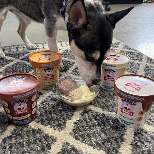 Pack, 4 4.65 oz Puppy Scoops Dog Ice Cream Mix Variety Flavors, Each Just Add Water and Freeze at Home, Powder Mix
