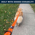 Nylon Dog Leash with Locking Carabiner, Heavy Duty Reflective Lead with Padded Handle for Walking, Orange, 4'
