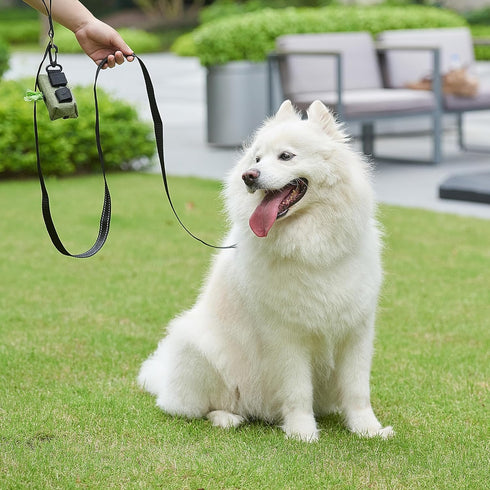 6FT Reflective Dog Leash for Large, Medium, and Small Dogs, Nylon Leash for Walking and Training, 1 inch x 6FT (Black)