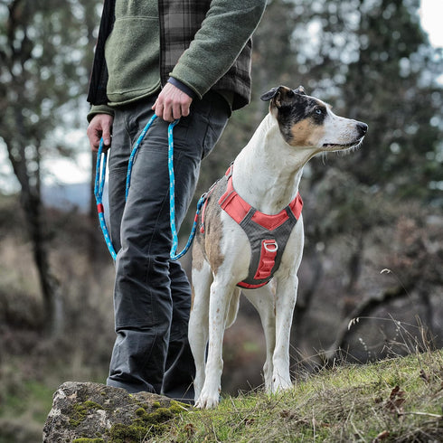 Kurgo Journey Air Dog Harness - Vest Harnesses for Dogs, Pet Hiking Harness for Running & Walking, Reflective, Padded,