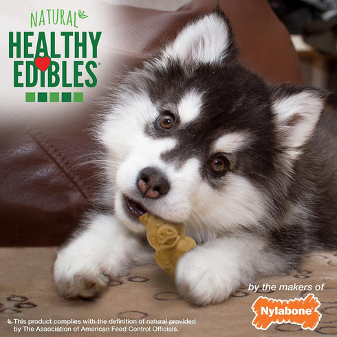 Nylabone Healthy Edibles Natural Puppy Chews, Long Lasting Treats for Puppies, Lamb & Apple Flavor, 4 Count
