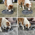 PetLike Ants Away Double Dog Water and Food Bowls, 6 cups/48oz Feeder Bowls for Medium and Large Dogs (Grey).