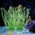 Large Plastic Aquarium Plants, Tall 20.47" Green Decor, Big Aquarium Plants for Fish Tanks (2pcs)