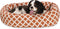 24 Inch Burnt Orange Bamboo Sherpa Bagel Dog Bed
