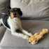 SPOT Skinneeez Fox 14 Inch Stuffing-Free Plush Squeaky Dog Toy, Soft Tug-of-War Toy