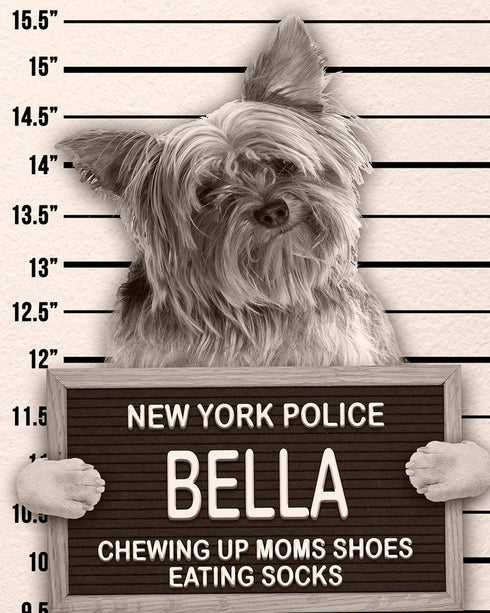 Dog Mugshot Custom Pet Mugshot, Personalized Gift for Your Dog, Cat or Pet