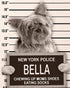 Dog Mugshot Custom Pet Mugshot, Personalized Gift for Your Dog, Cat or Pet
