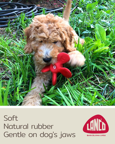 5" Puppy Toy - Squeaky Dog Toy - Soft - Natural Rubber Latex - in Diameter - Small Breeds & Puppies
