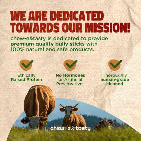 12" (5 chew-e&tasty Large Braided Bully Sticks for Dogs Sticks) - Long Lasting Beef Chews - Made of Digestible High
