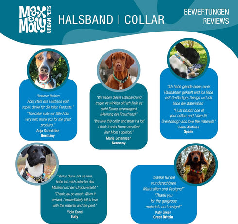 Max & Molly Smart ID Dog Collar with Gotcha! QR Safety Tag, Soft Padded Neoprene, Medium (13-21")