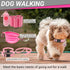 26 FLYSTAR Puppy Starter Kit for Small Dogs, pcs Dog Supplies, Dog Toys, Collar & Leash, Training Clicker, Treat Bag