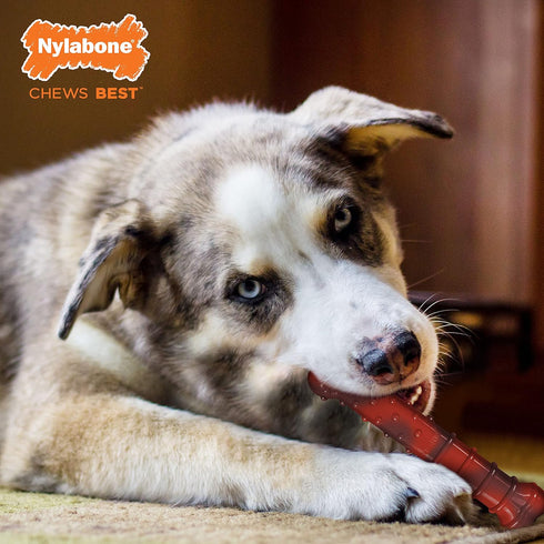 Nylabone Power Chew Classic Bone Chew Toy for Dogs, Durable Aggressive Chewer Toys, Beef Jerky & Chicken