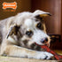 Nylabone Power Chew Classic Bone Chew Toy for Dogs, Durable Aggressive Chewer Toys, Beef Jerky & Chicken