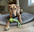 2 Piece Dog Training Ball on Rope, Cotton Rope Tug Ball Toy for Big and Small Dogs