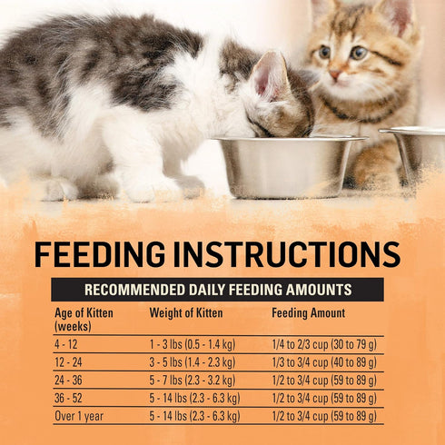 Beyond Purina High Protein Natural Kitten Food, Chicken & Oatmeal Recipe, 3 lb. Bag