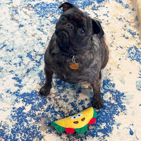 SPOT 6in Fun Food Taco Plush Dog Toy with Squeaker - Interactive Soft, Squeaky Toy for Dogs and Puppies, Keeps Pets