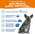 Zesty Paws Senior Advanced Calming & Cognition Soft Chews for Dogs - Brain Health & Nervous System Support with