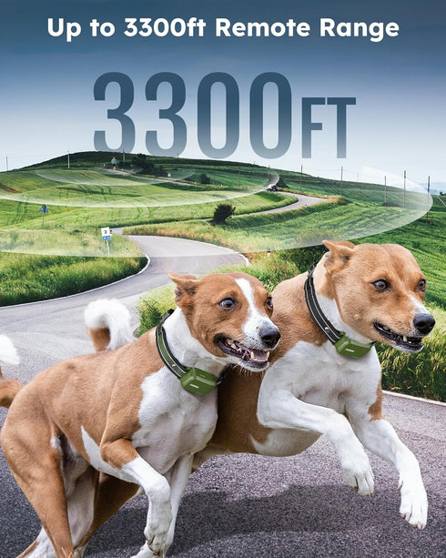 Jugbow Dog Shock Collar for 2 Dogs, 3300FT Training Collar with Remote, IPX7 Waterproof, Rechargeable e-Collar