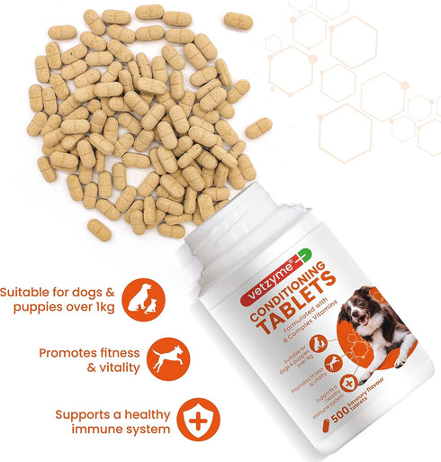 Conditioning Tablets, 500 Tablets