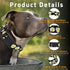 Dog Collar, Daisy Boys Girls Puppy Collar for Small Medium Large Dogs, Adjustable Soft Floral Pet Collar with Safety Buckle for Male Females(Black Daisy,S)