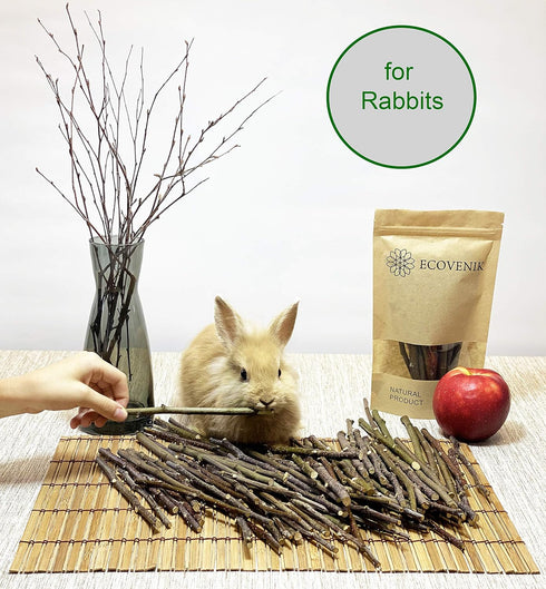 ECOVENIK Apple Sticks 120g - Natural Rabbit & Hamster Chew Toys, Organic Chinchilla Food for Small Animals
