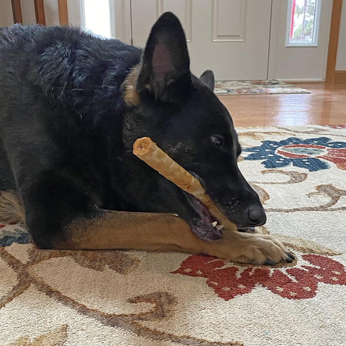 Fieldcrest Farms Premium Grade Natural Rawhide Alternative Chews, 10'' Rolls for Dogs, 3 Pack (6 Chews) - Easily