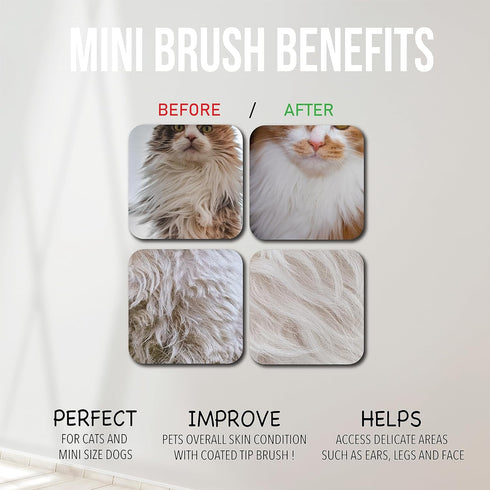 Slicker Brush for Small Dogs and Poodles, Cat Slicker Brush for Long Haired Cats, Bixy Pixy Mini