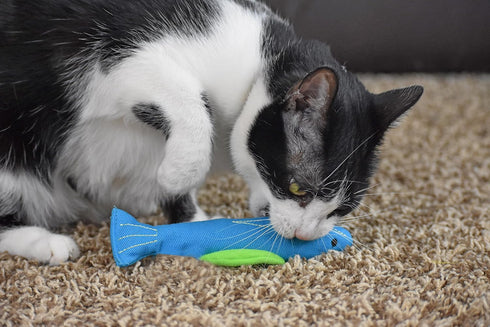OurPets 100% North American Catnip Filled Fish Cat Toy, Interactive Chew Toy, Annette