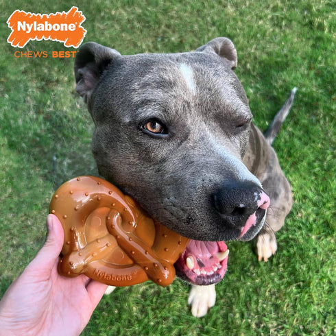 Nylabone Power Chew Pretzel Dog Chew Toy, Durable Bacon & Peanut Butter Flavor, X-Large/Souper (1 Count)