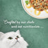 (Pack 24) 3 oz. Purina Fancy Feast Wet Cat Food, Medleys Tender Turkey Primavera With Tomatoes, Carrots and Spinach