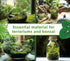 Generic Pack 2 Live Moss Duo Varieties Mixed Moss for Reptile Terrariums, Amphibian Habitats, Bonsai, Vivariums