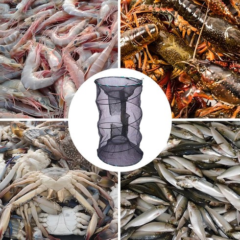 Portable Collapsible Crab Traps, Foldable Crabbing Nets for Lobster, Shrimp, Carp, Crayfish, Galvanized Steel Wire