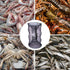 Portable Collapsible Crab Traps, Foldable Crabbing Nets for Lobster, Shrimp, Carp, Crayfish, Galvanized Steel Wire