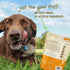 Pet Naturals Superfood Dog Treats, Blueberry and Kale, No Corn or Wheat, Healthy Snacks for Training, 100 Chews