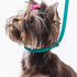 (3/8" 25", Jelly Pet Grooming Loop Slip Style x Purple) | Made in The USA